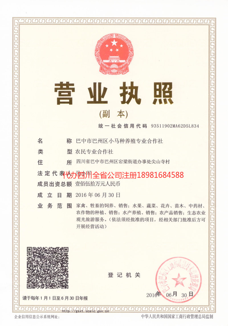 大足大足小马种养殖专业合作社